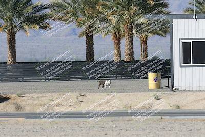 media/Dec-04-2025-Racers Edge (Thu) [[5ebc9f124d]]/3-B Group/5-Session 2 Turn 2 inside Speed Pans/